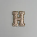 Varsity Glitter Patch - Nude